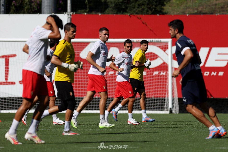 行业影响 行业影响